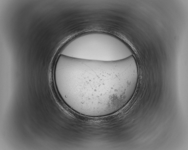 X0000116840629200912181115