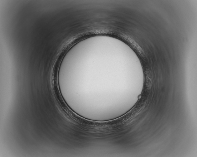 X0000116840631200912181115