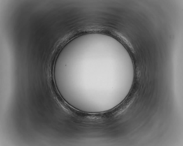 X0000116840633200912181115
