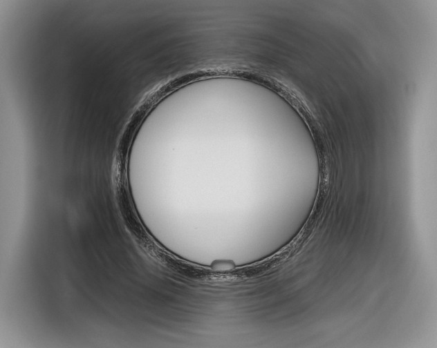 X0000116840636200912181115