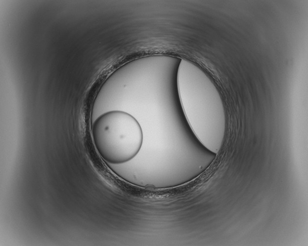 X0000116840638200912181115