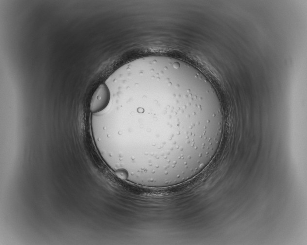 X0000116840639200912181115
