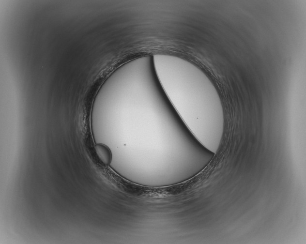 X0000116840642200912181115