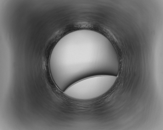 X0000116840643200912181115