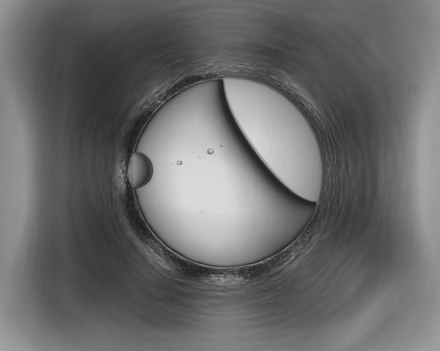 X0000116840644200912181115