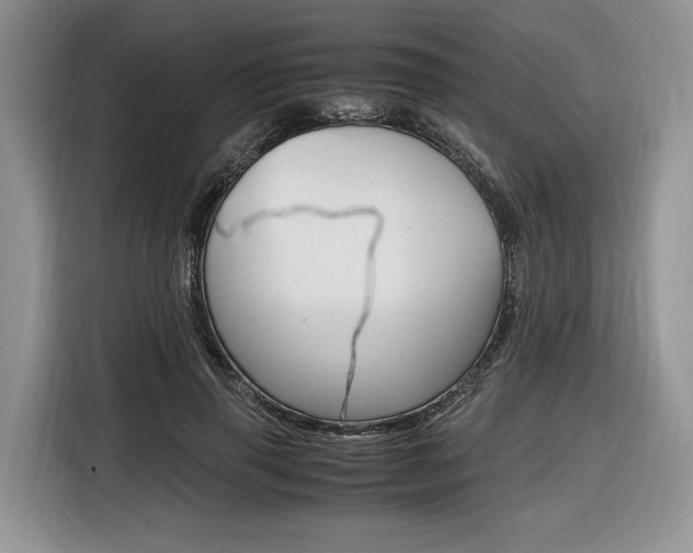 X0000116840645200912181115