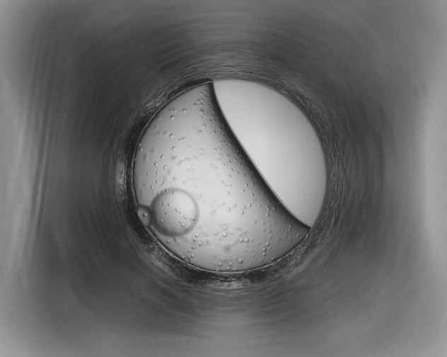 X0000116840646200912181115