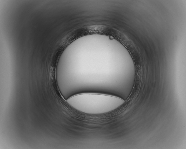 X0000116840649200912181115