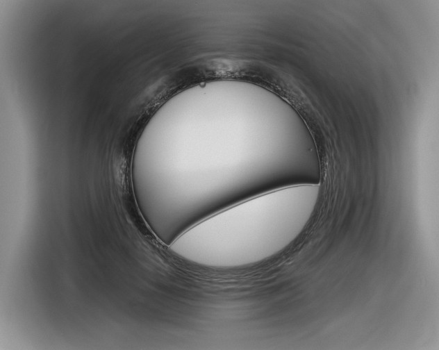 X0000116840650200912181115