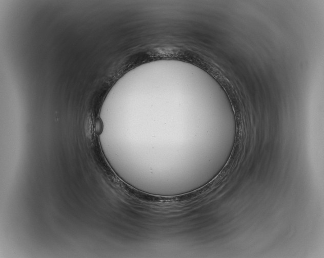 X0000116840651200912181115