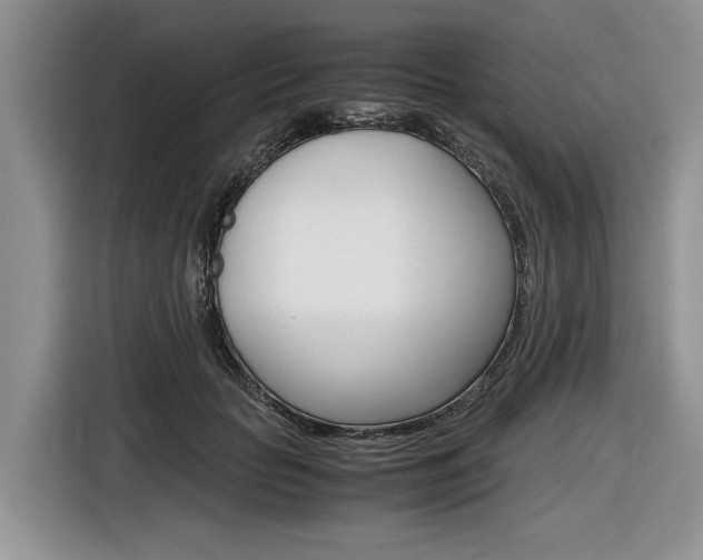 X0000116840653200912181115