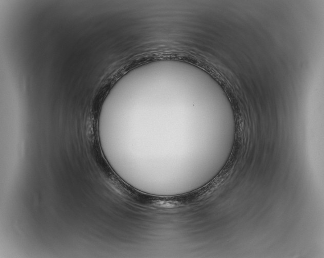 X0000116840654200912181115