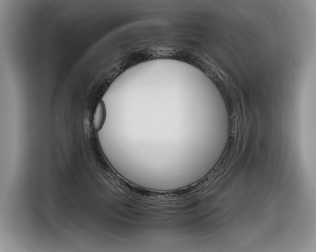 X0000116840655200912181115