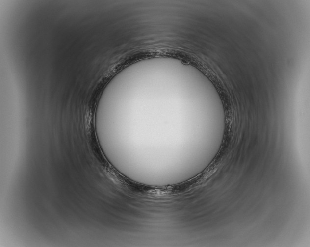 X0000116840660200912181115
