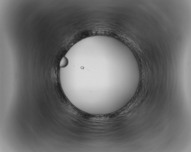 X0000116840661200912181115