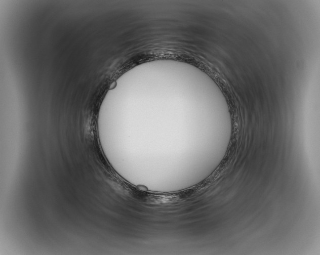 X0000116840663200912181115