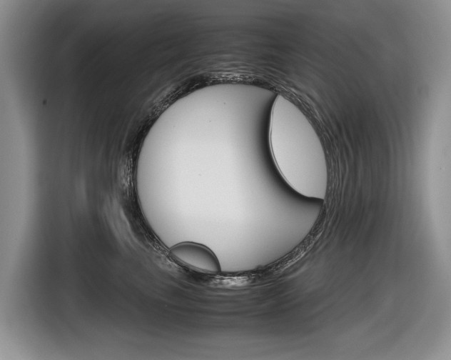 X0000116840665200912181115
