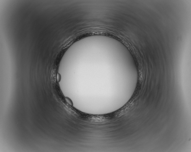 X0000116840666200912181115
