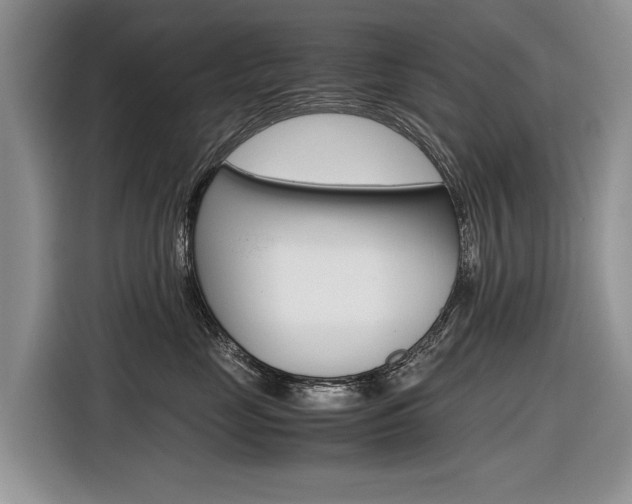 X0000116840669200912181115