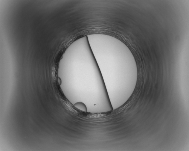 X0000116840670200912181115