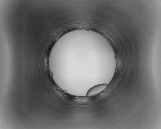 X0000116840671200912181115