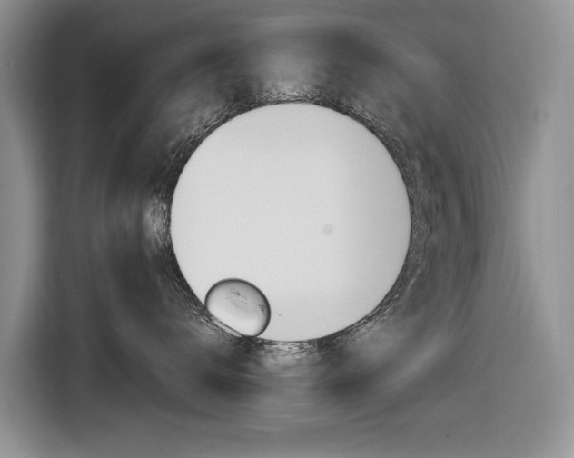X0000116840672200912181115