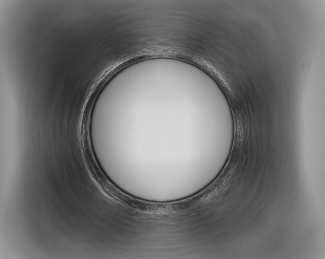 X0000116840674200912181115