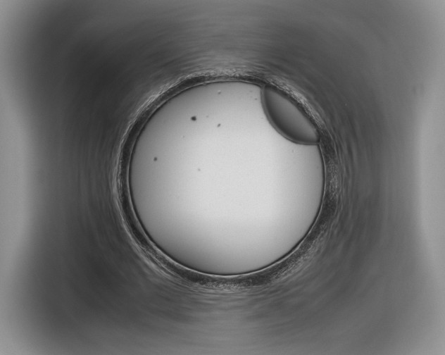 X0000116840677200912181115