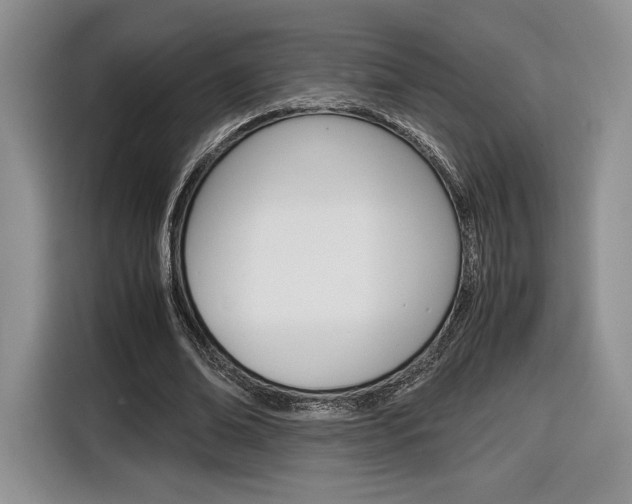 X0000116840678200912181115