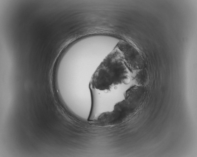 X0000116840679200912181115