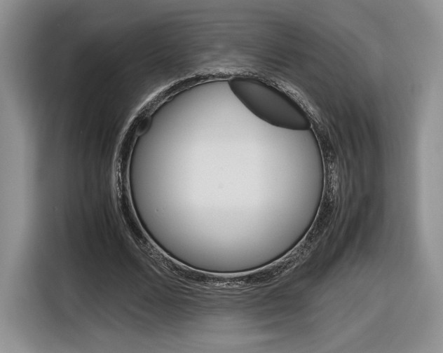 X0000116840680200912181115