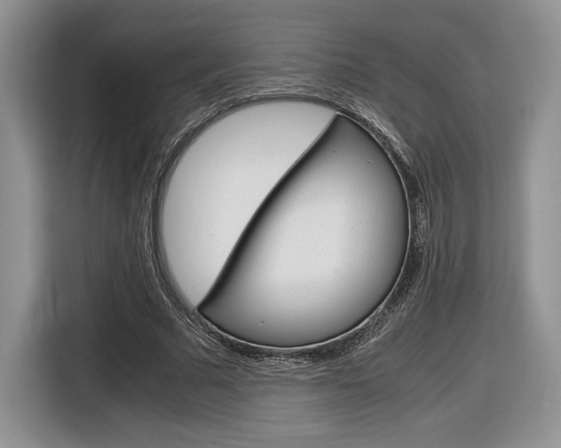 X0000116840681200912181115