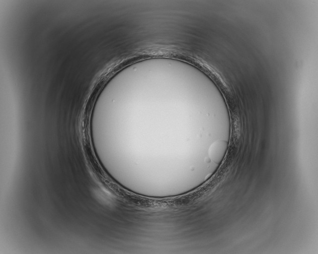 X0000116840682200912181115