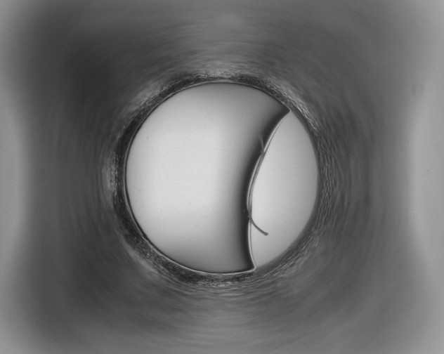 X0000116840683200912181115