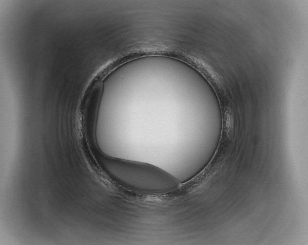X0000116840684200912181115