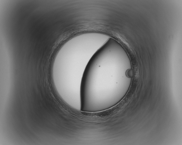 X0000116840685200912181115