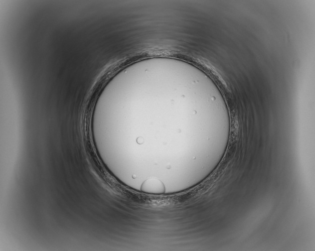 X0000116840686200912181115