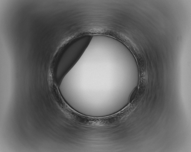 X0000116840688200912181115