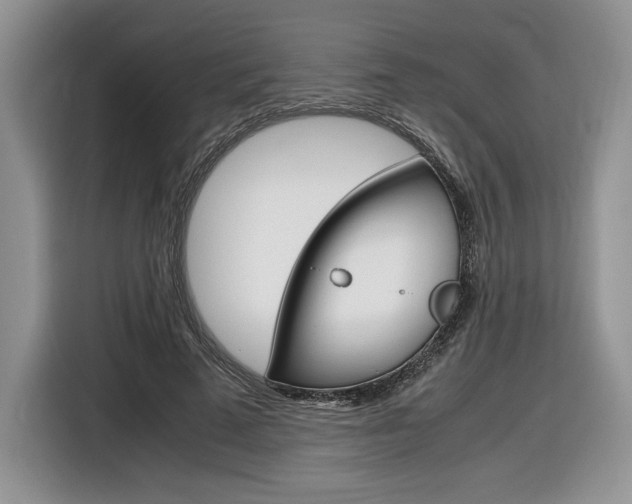 X0000116840689200912181115