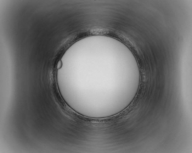 X0000116840690200912181115