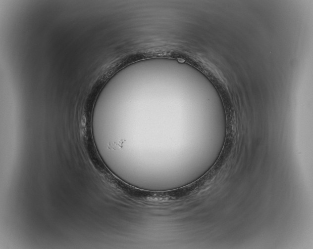 X0000116840693200912181115