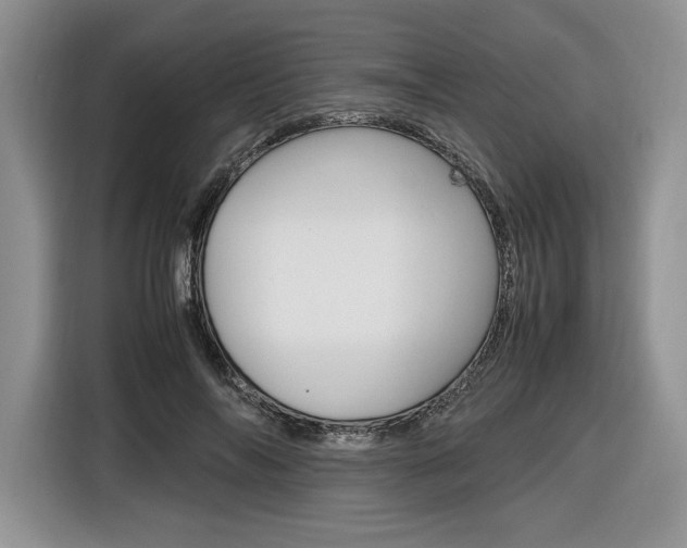 X0000116840694200912181114