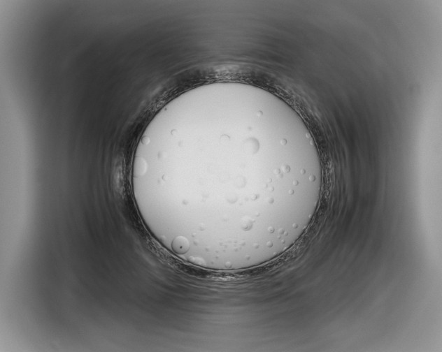 X0000116840698200912181114