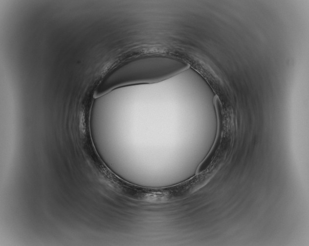 X0000116840700200912181114