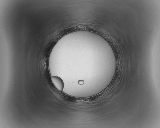 X0000116840703200912181114