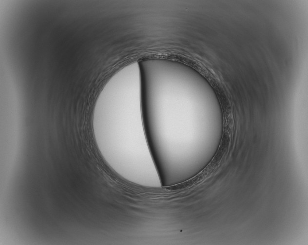 X0000116840707200912181114
