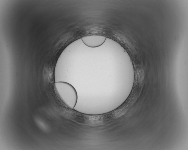 X0000116840709200912181114