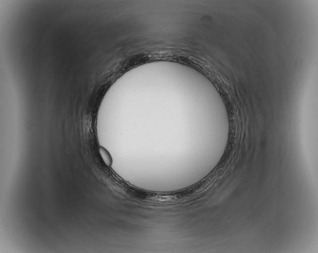 X0000116840711200912181114