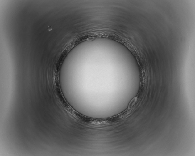 X0000116840712200912181114