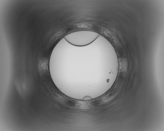 X0000116840713200912181114